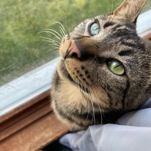 Meet your Posher, Abby